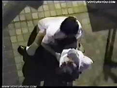 情熱的な猫は完全に 女の子 の ため の ...